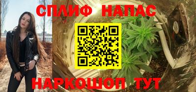 стаф Будённовск